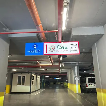 Central Park Arena * بورغاس